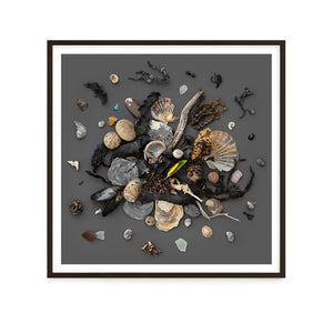 Beach Finds 03 - Dark