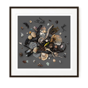 Beach Finds 03 - Dark