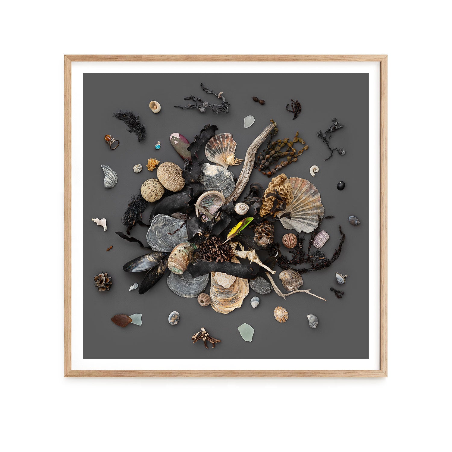 Beach Finds 03 - Dark