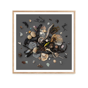 Beach Finds 03 - Dark