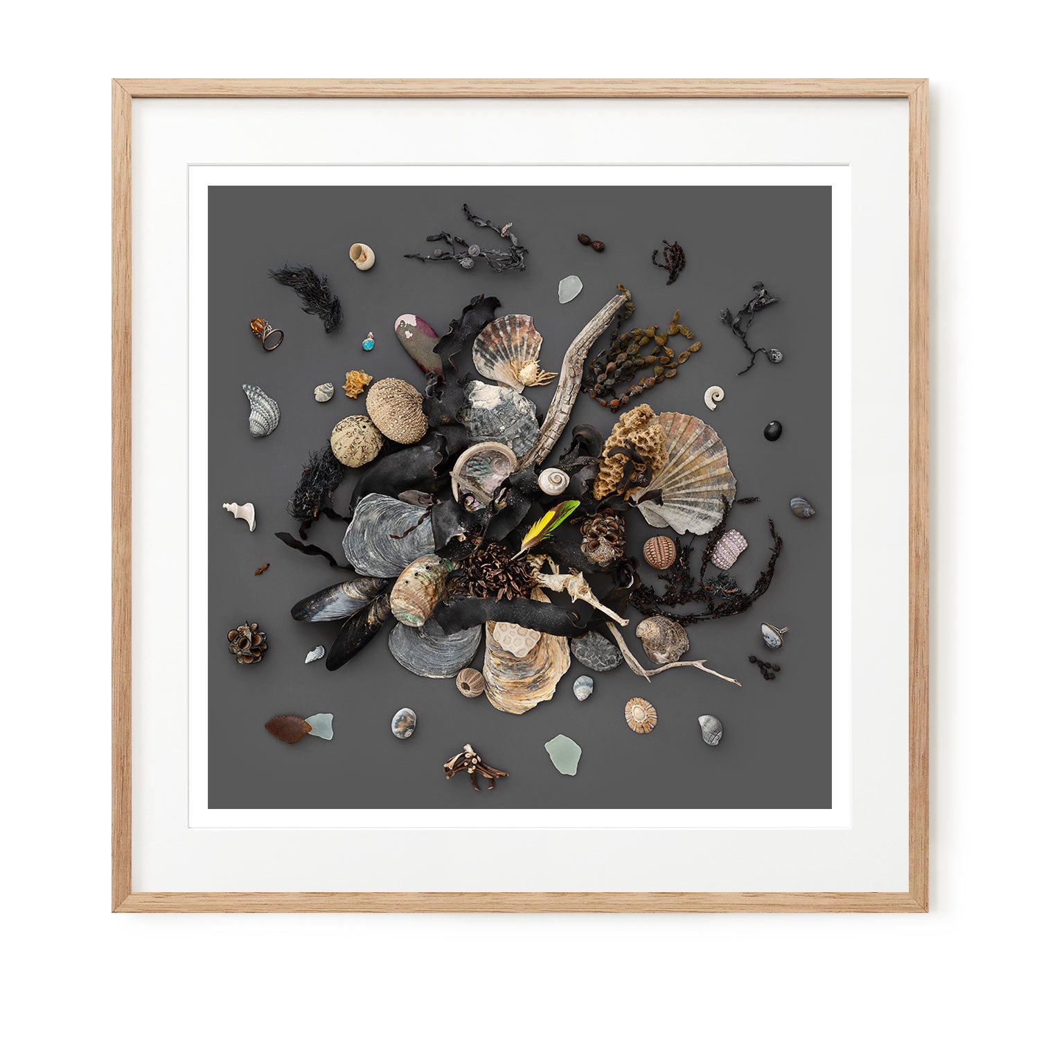 Beach Finds 03 - Dark