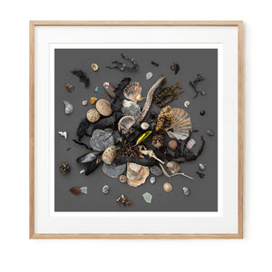 Beach Finds 03 - Dark