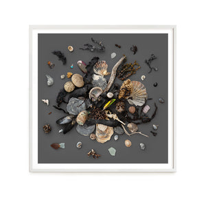Beach Finds 03 - Dark