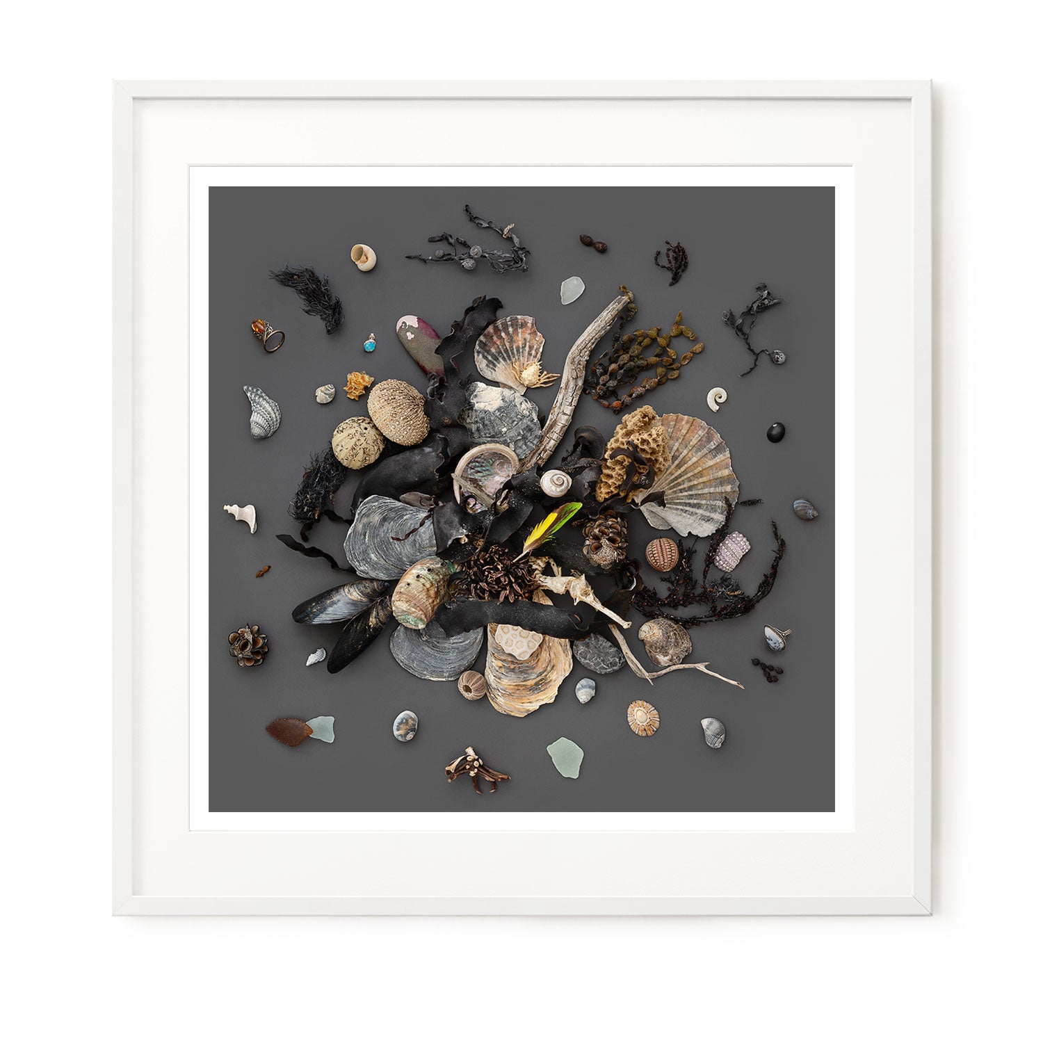 Beach Finds 03 - Dark