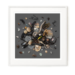 Beach Finds 03 - Dark