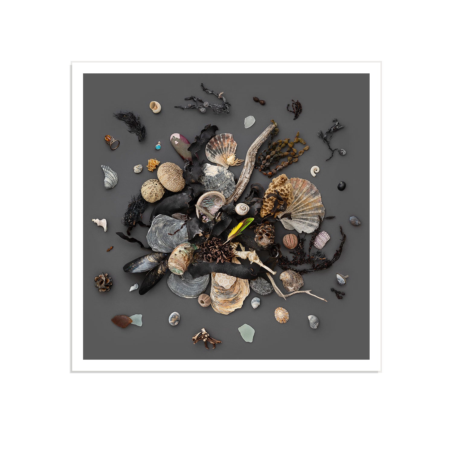 Beach Finds 03 - Dark