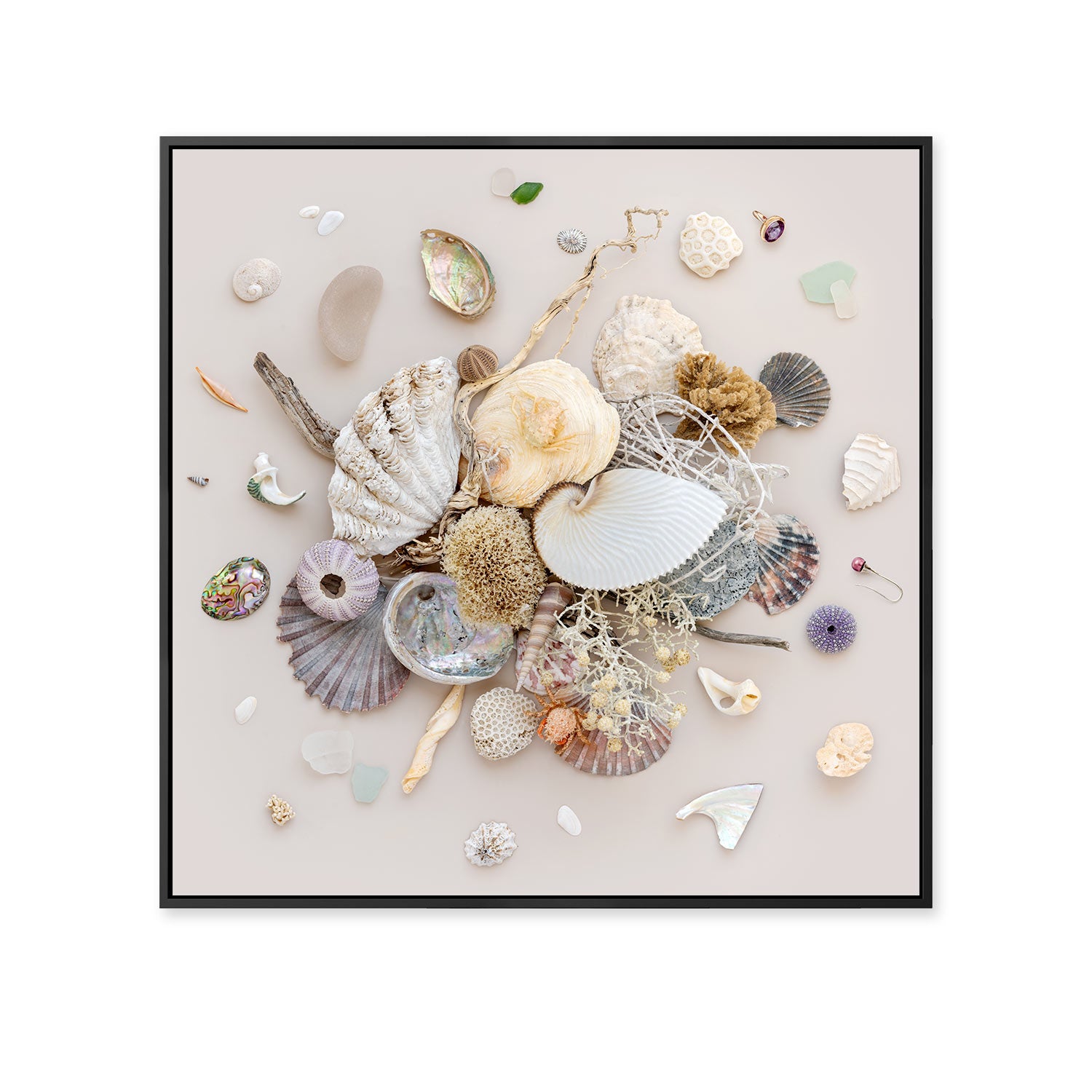 Beach Finds 01 - Light