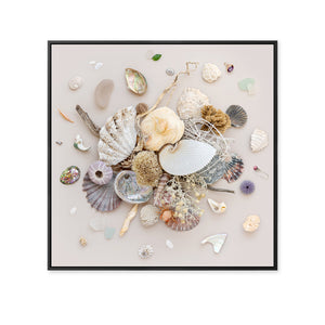 Beach Finds 01 - Light