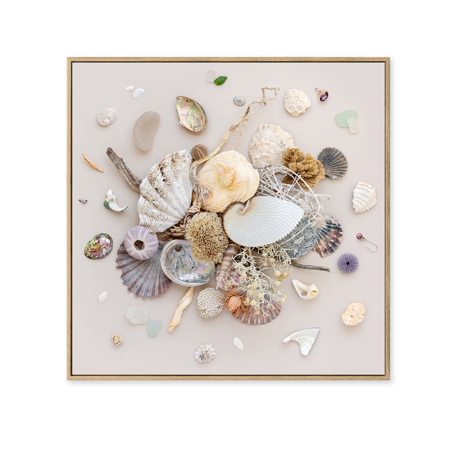 Beach Finds 01 - Light