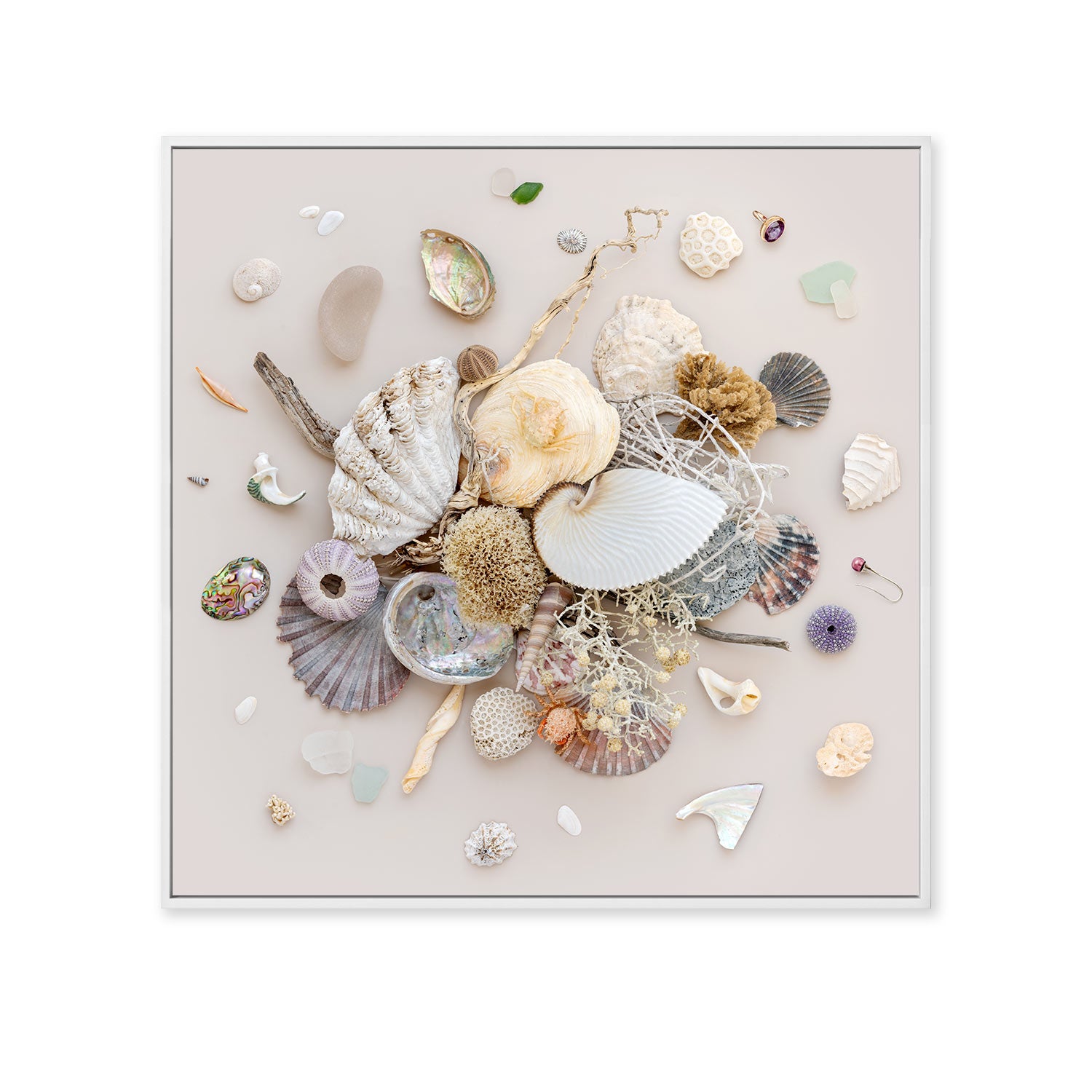 Beach Finds 01 - Light