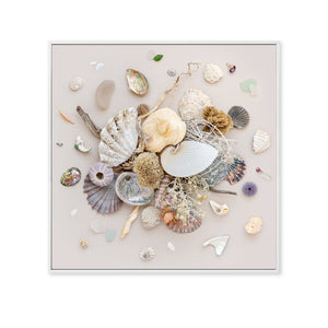 Beach Finds 01 - Light