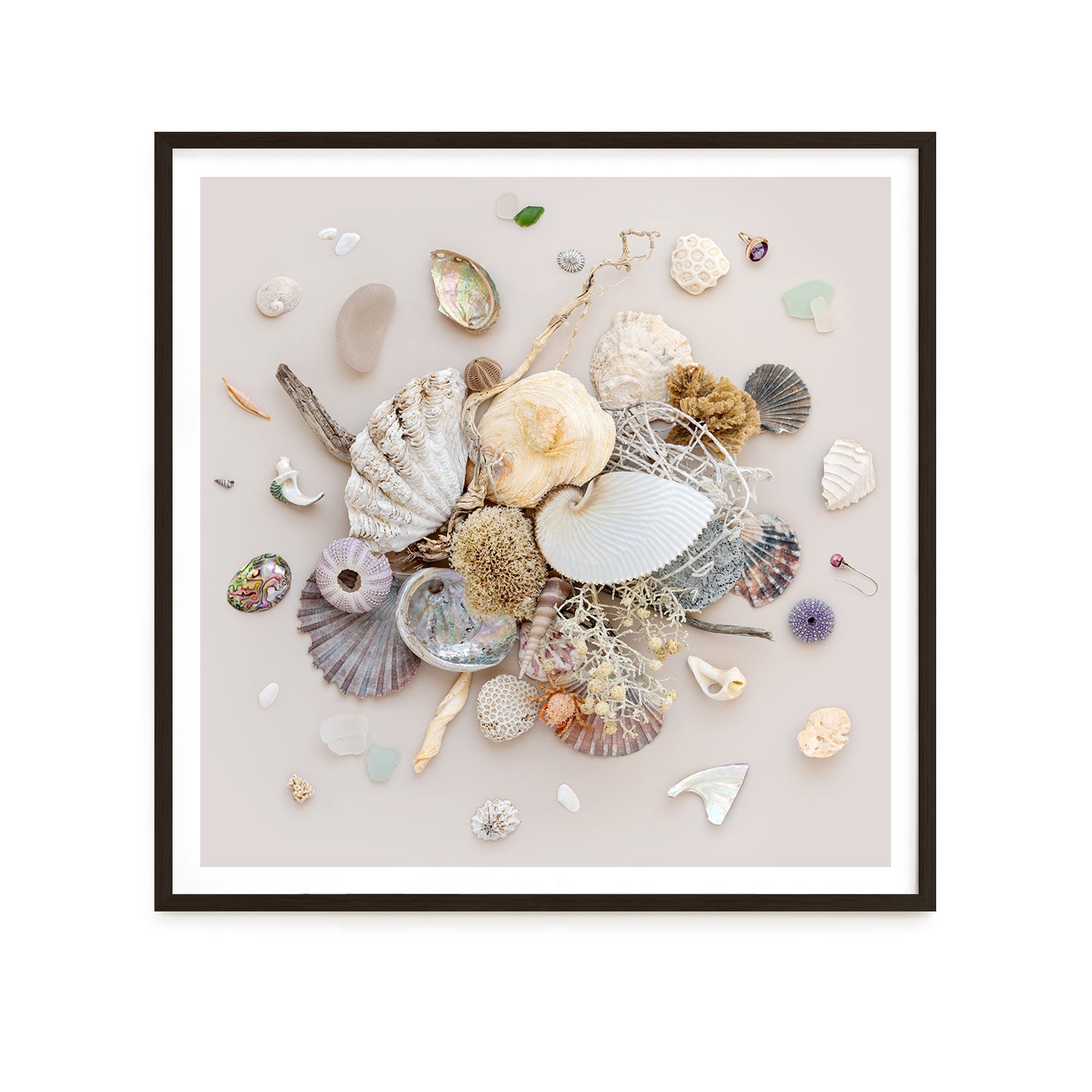 Beach Finds 01 - Light