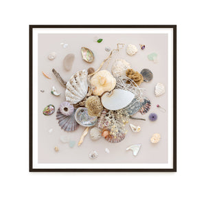 Beach Finds 01 - Light