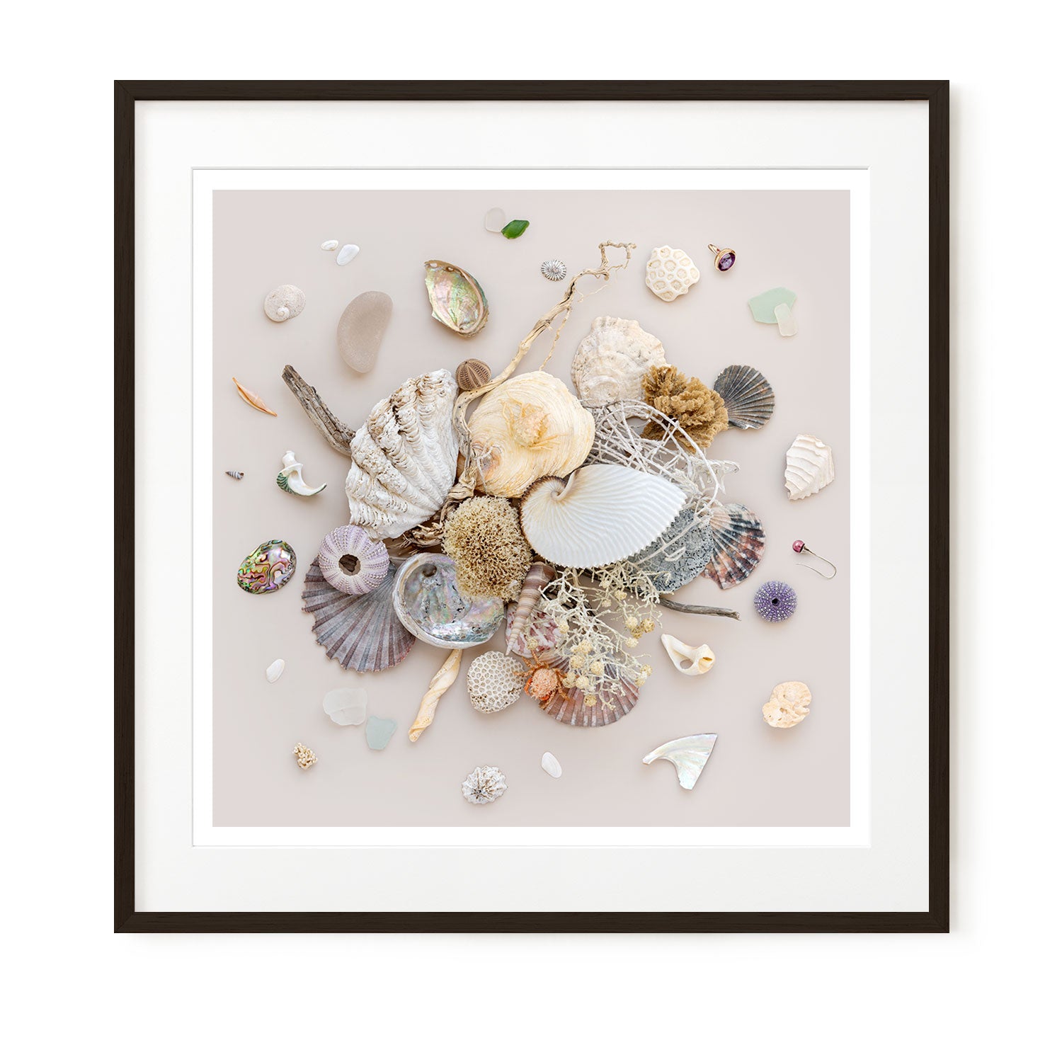 Beach Finds 01 - Light