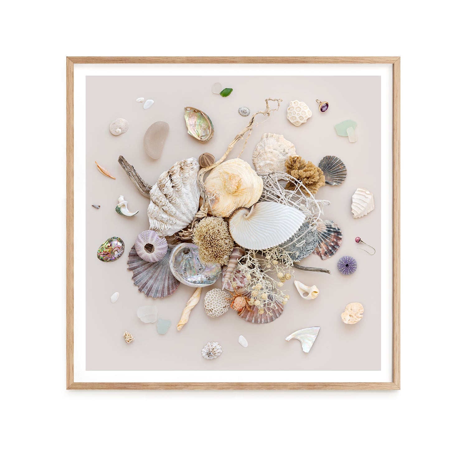 Beach Finds 01 - Light