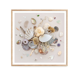 Beach Finds 01 - Light