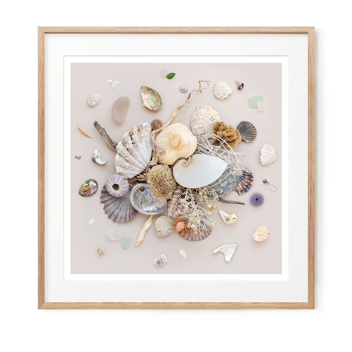 Beach Finds 01 - Light