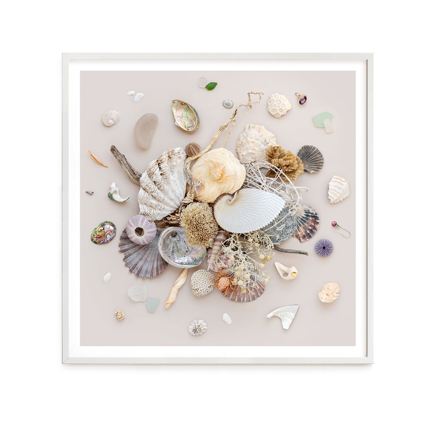 Beach Finds 01 - Light