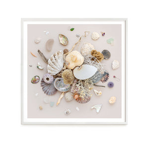 Beach Finds 01 - Light