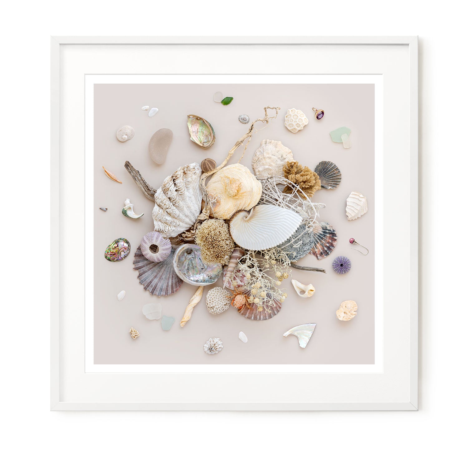 Beach Finds 01 - Light