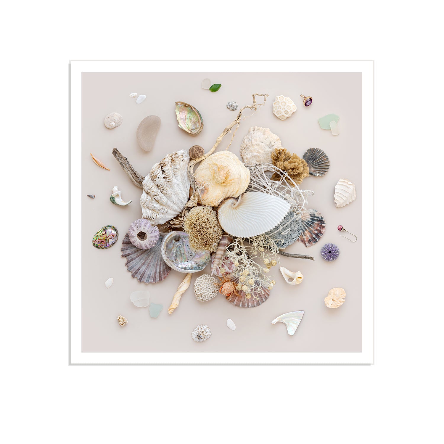 Beach Finds 01 - Light