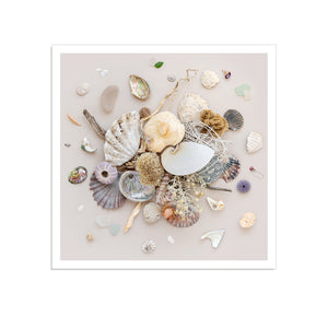 Beach Finds 01 - Light