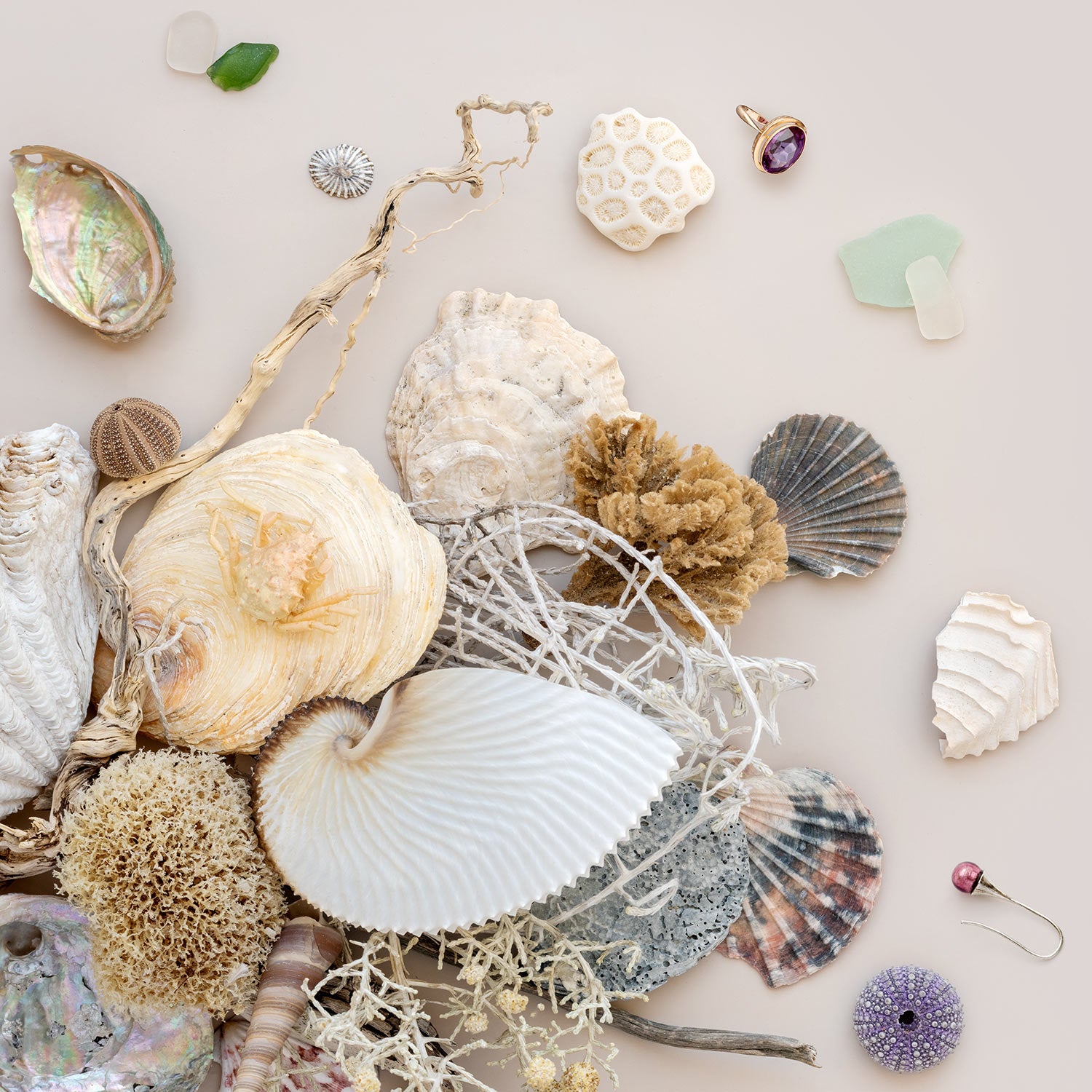 Beach Finds 01 - Light
