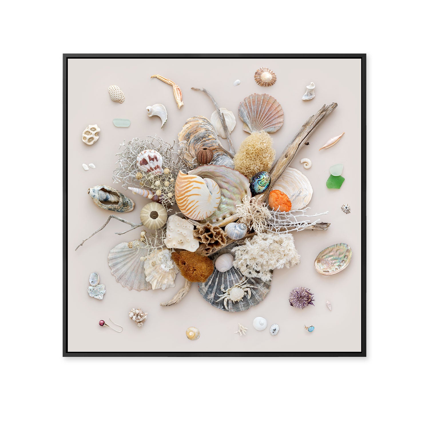 Beach Finds 02 - Light