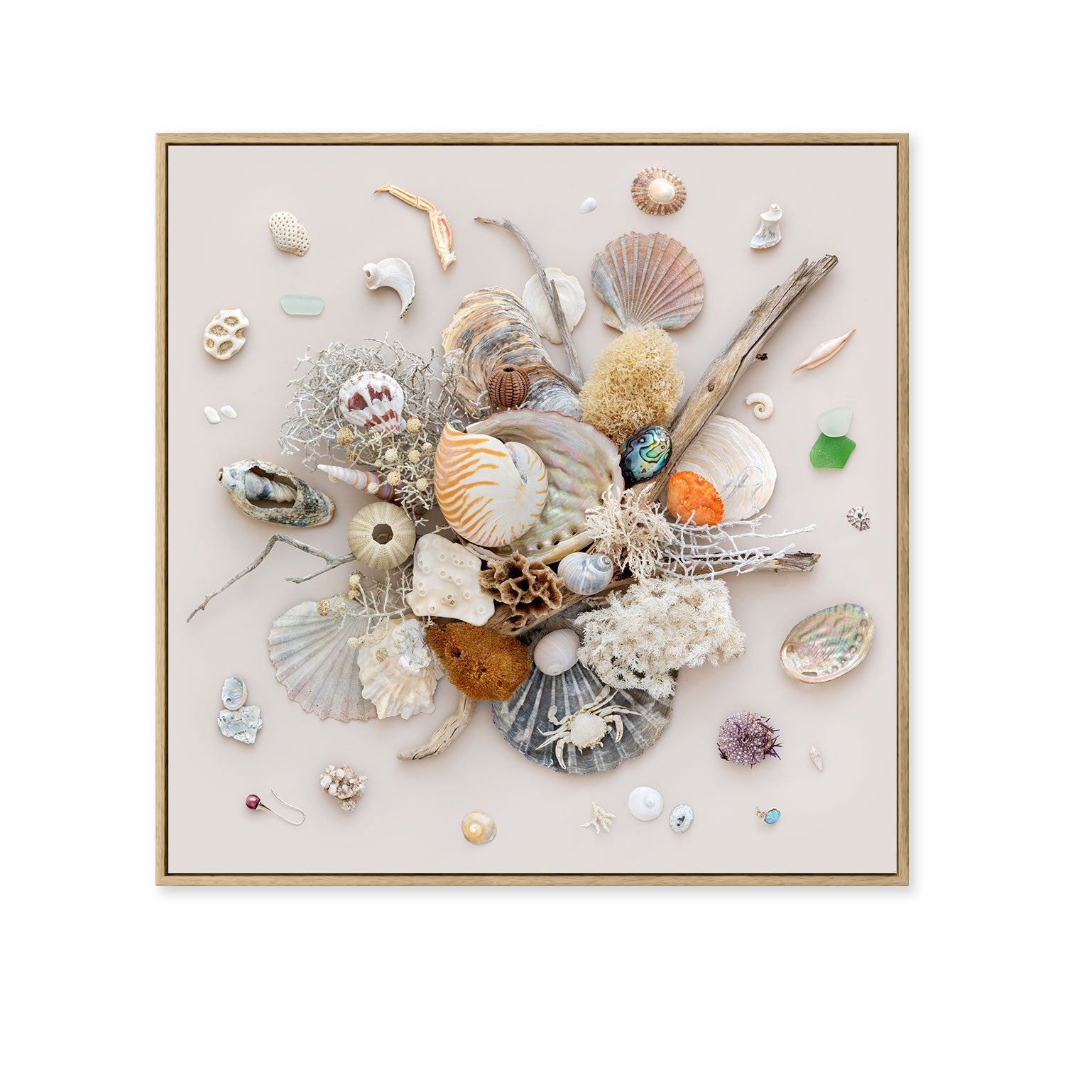 Beach Finds On Light | Canvas 33 x 33 cm