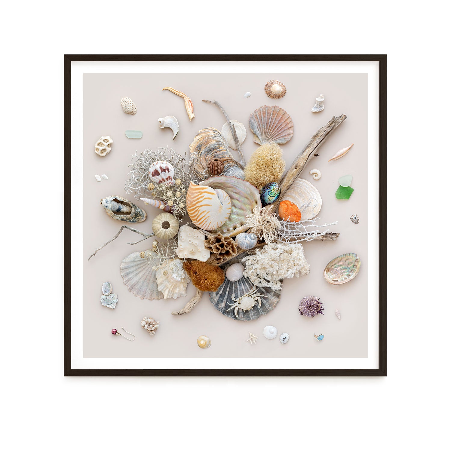Beach Finds 02 - Light