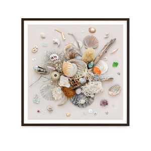 Beach Finds 02 - Light