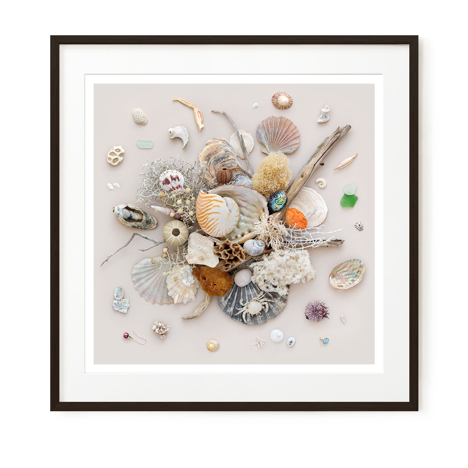 Beach Finds 02 - Light