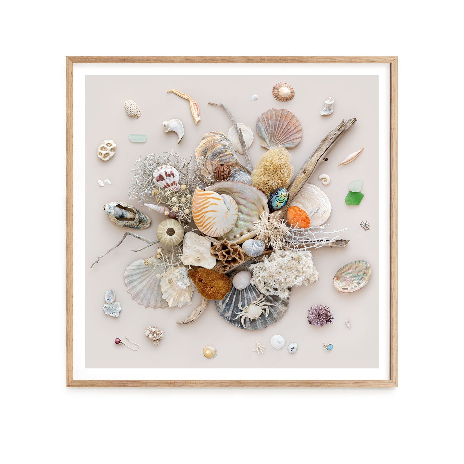 Beach Finds 02 - Light
