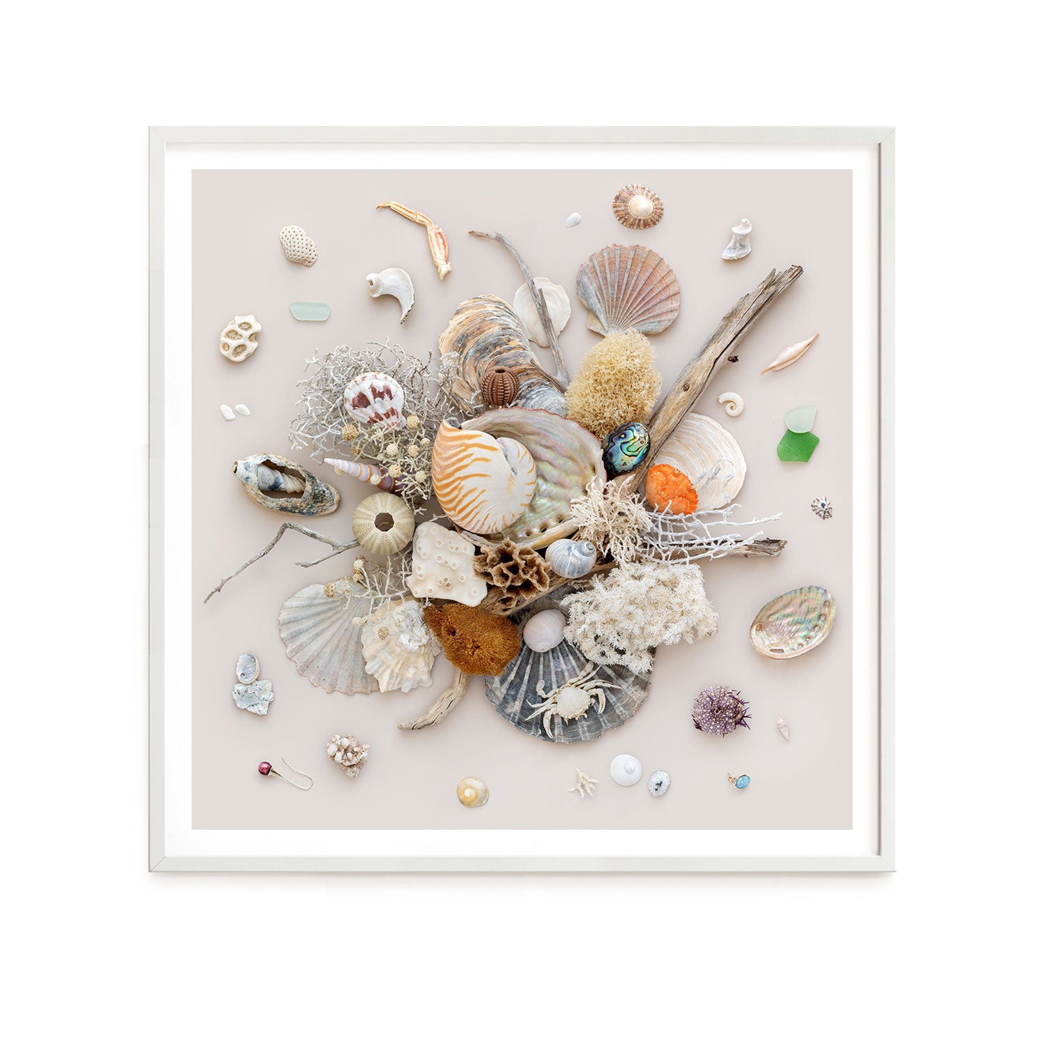 Beach Finds 02 - Light