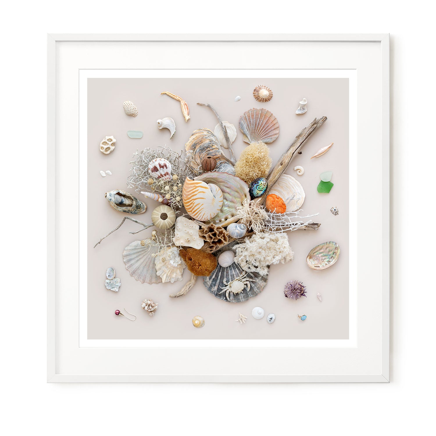Beach Finds 02 - Light