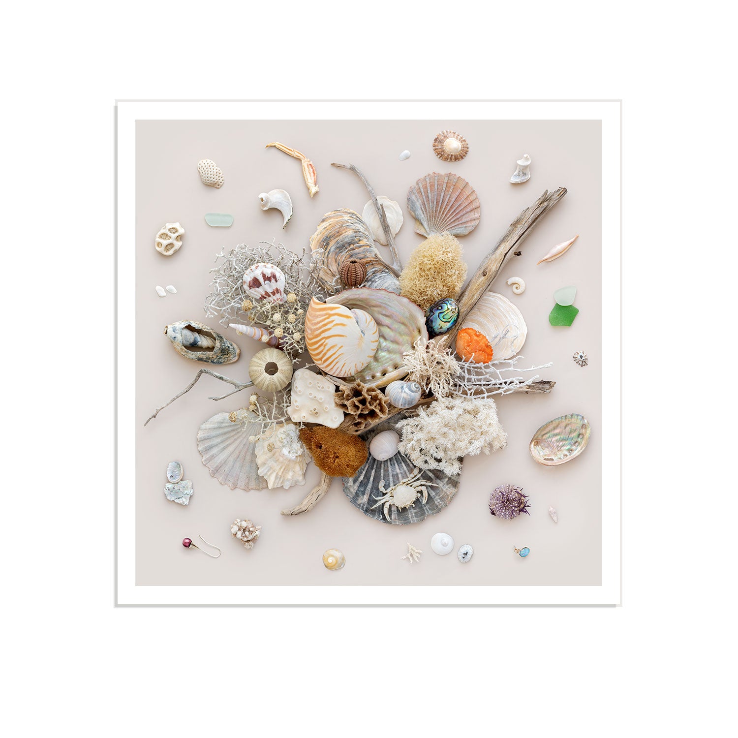 Beach Finds 02 - Light