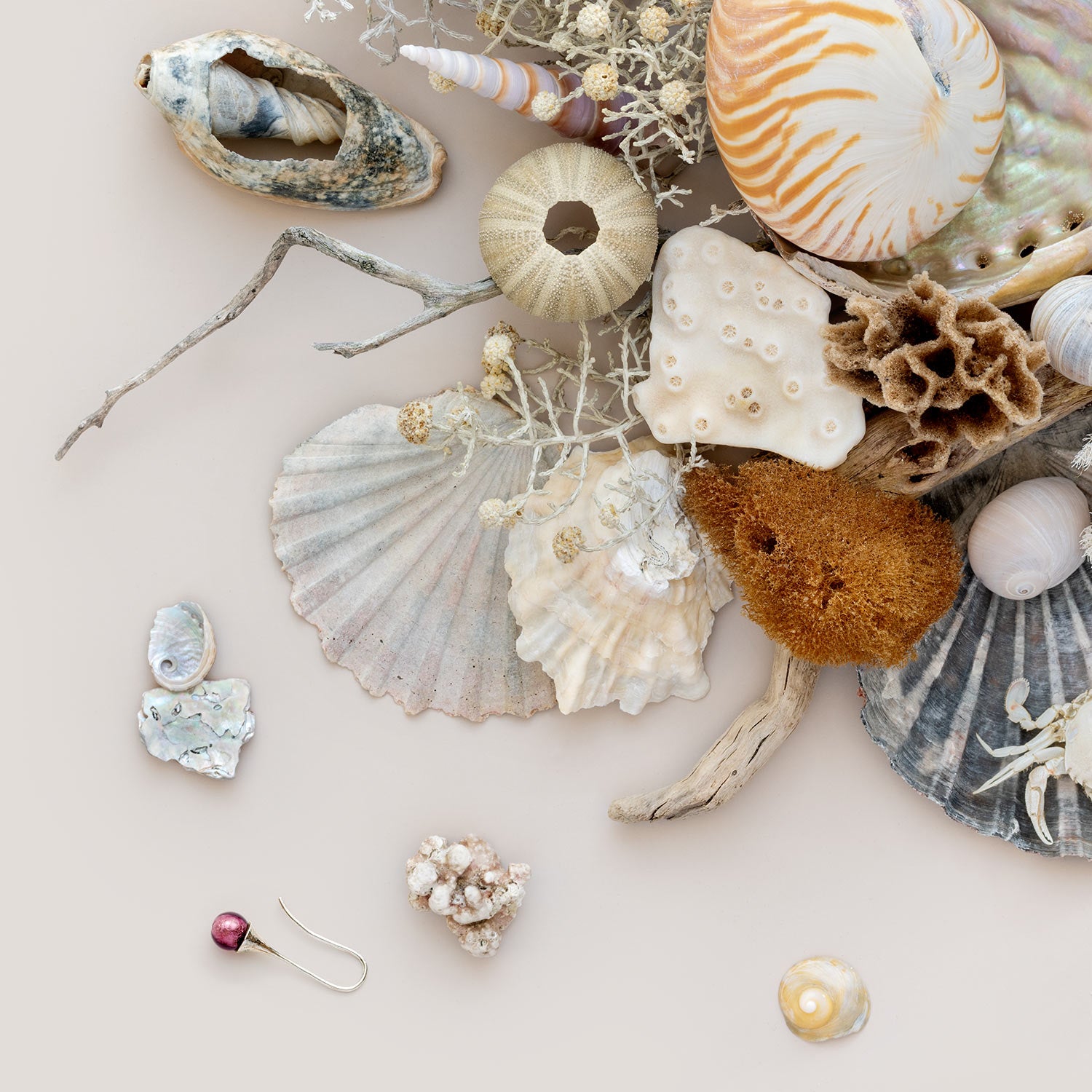 Beach Finds 02 - Light