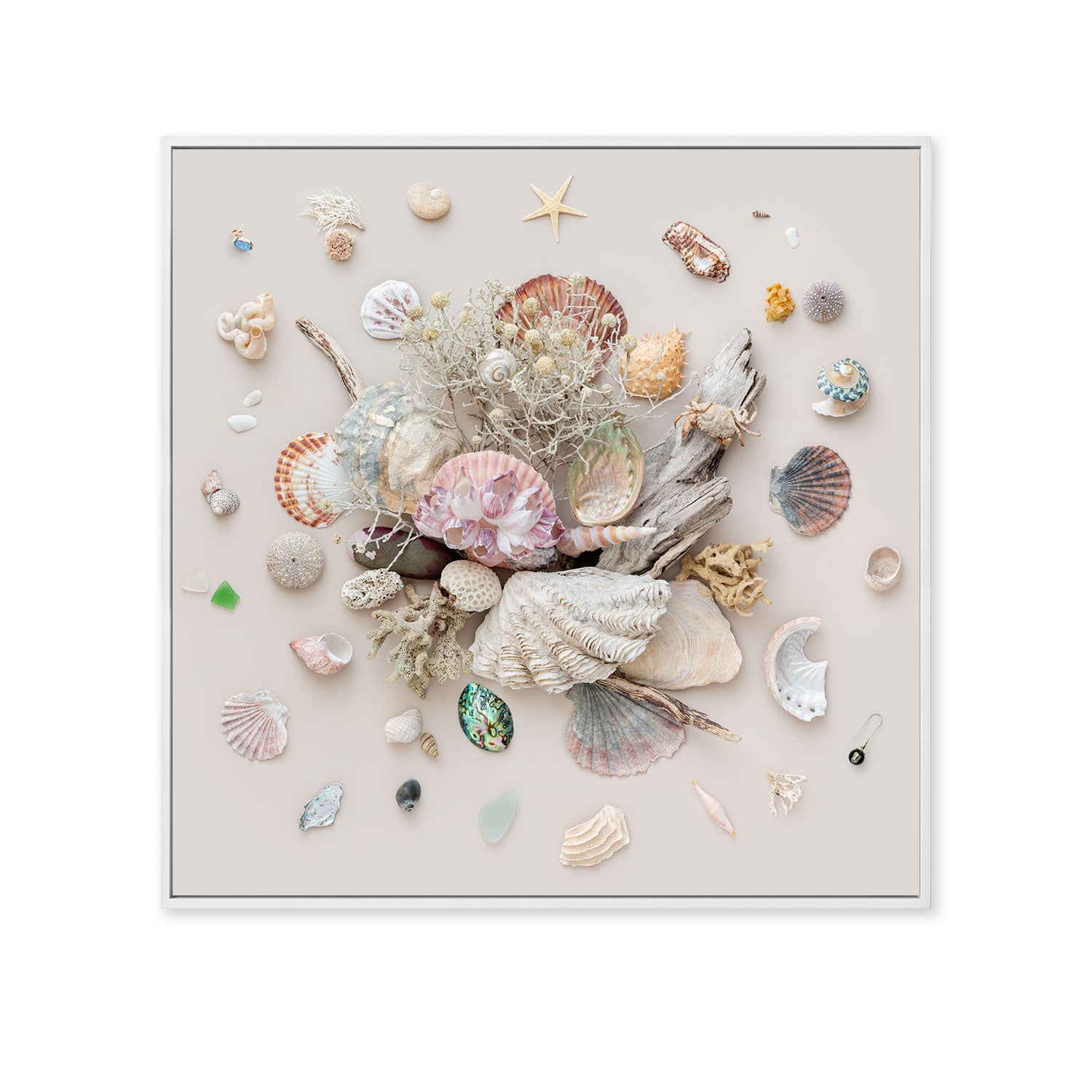 Beach Finds 03 - Light