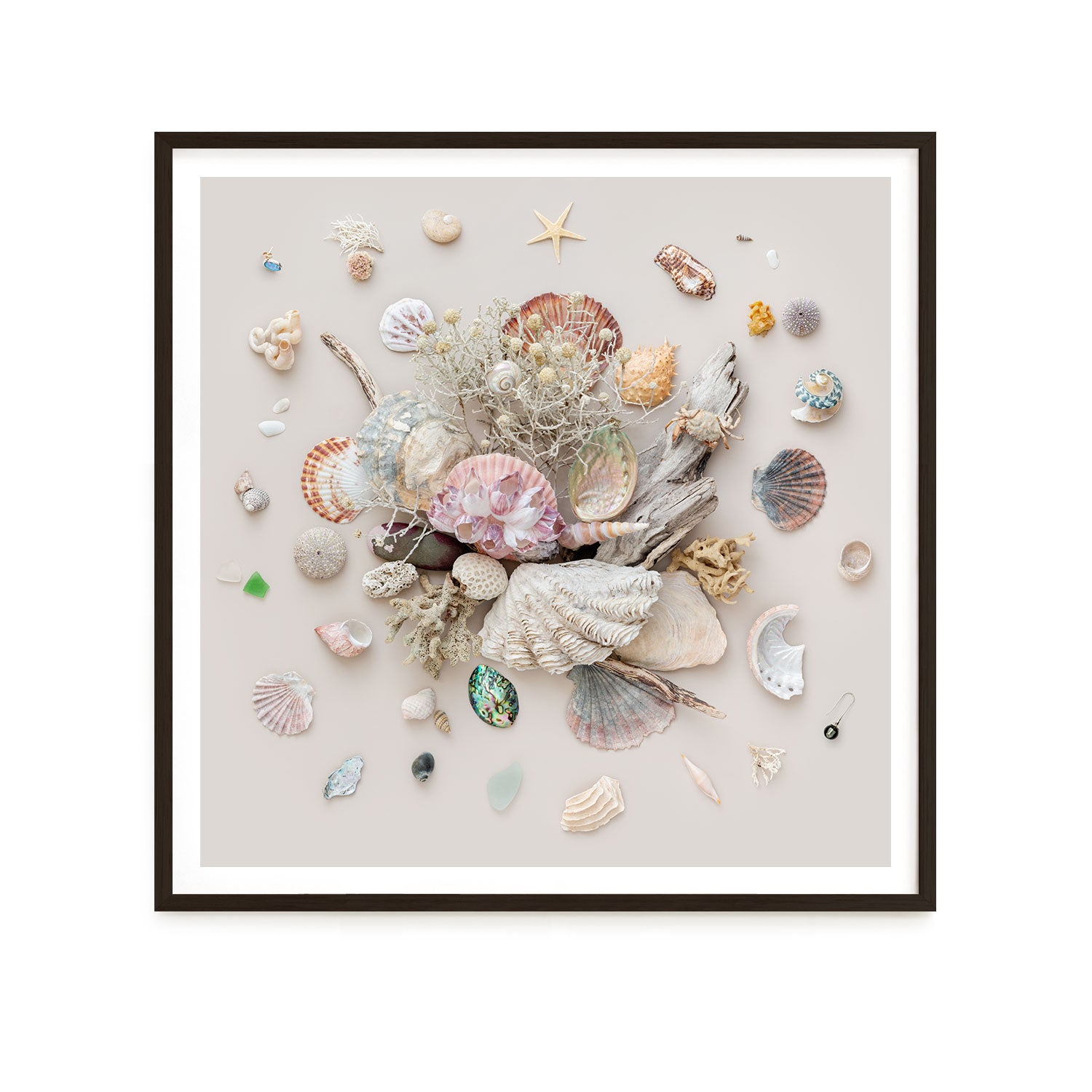 Beach Finds 03 - Light