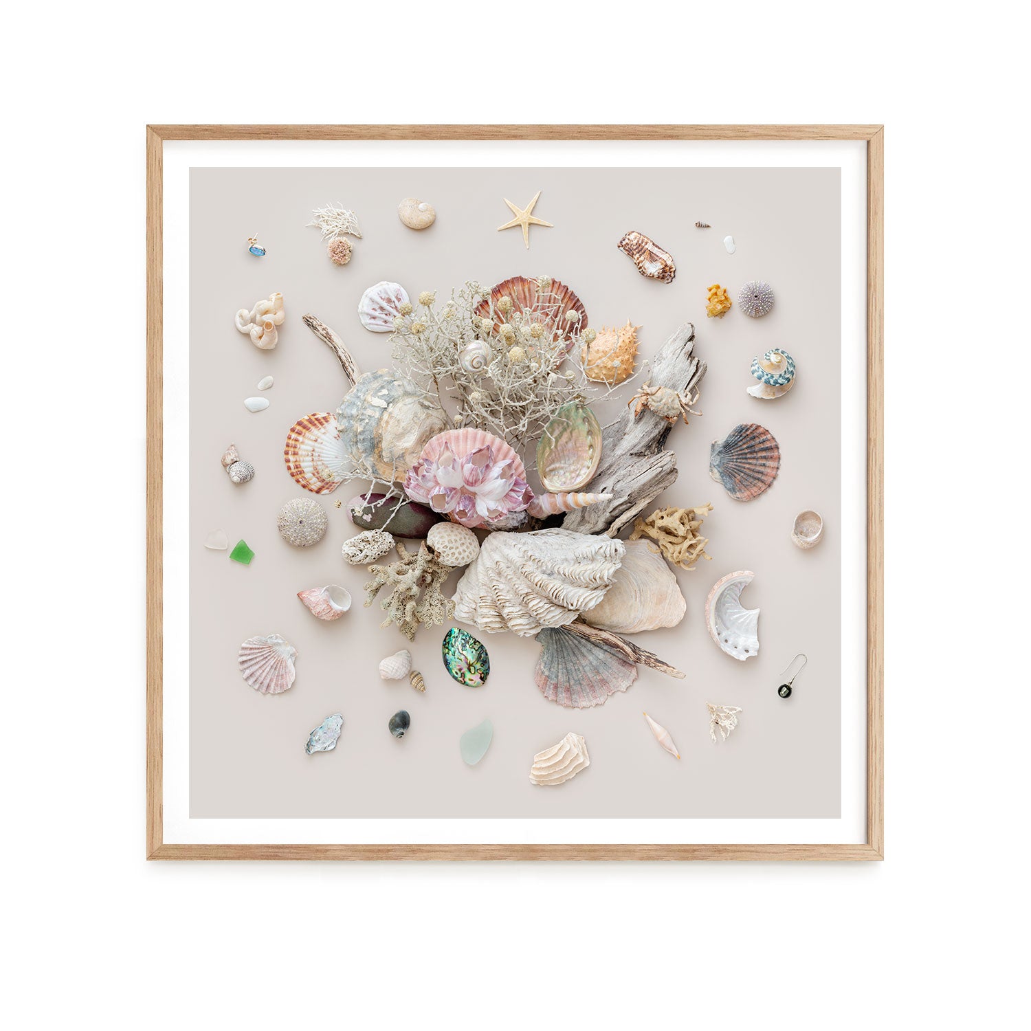Beach Finds 03 - Light
