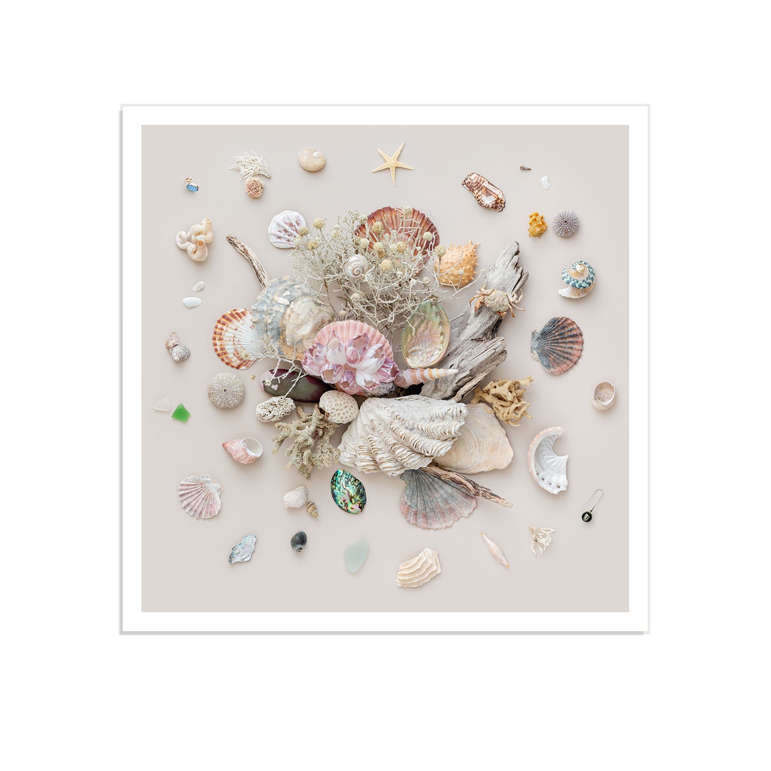 Beach Finds 03 - Light