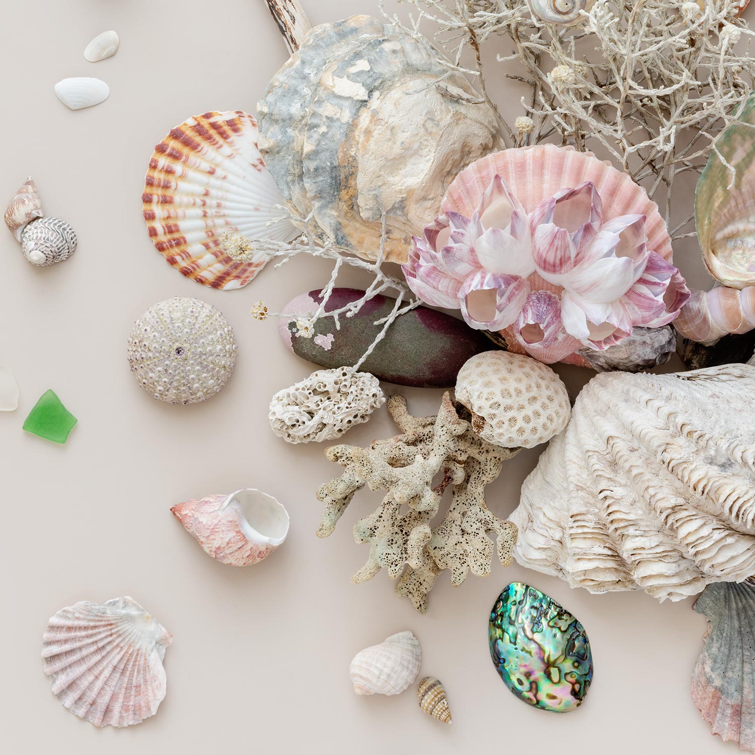 Beach Finds 03 - Light