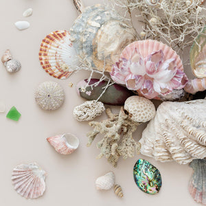 Beach Finds 03 - Light