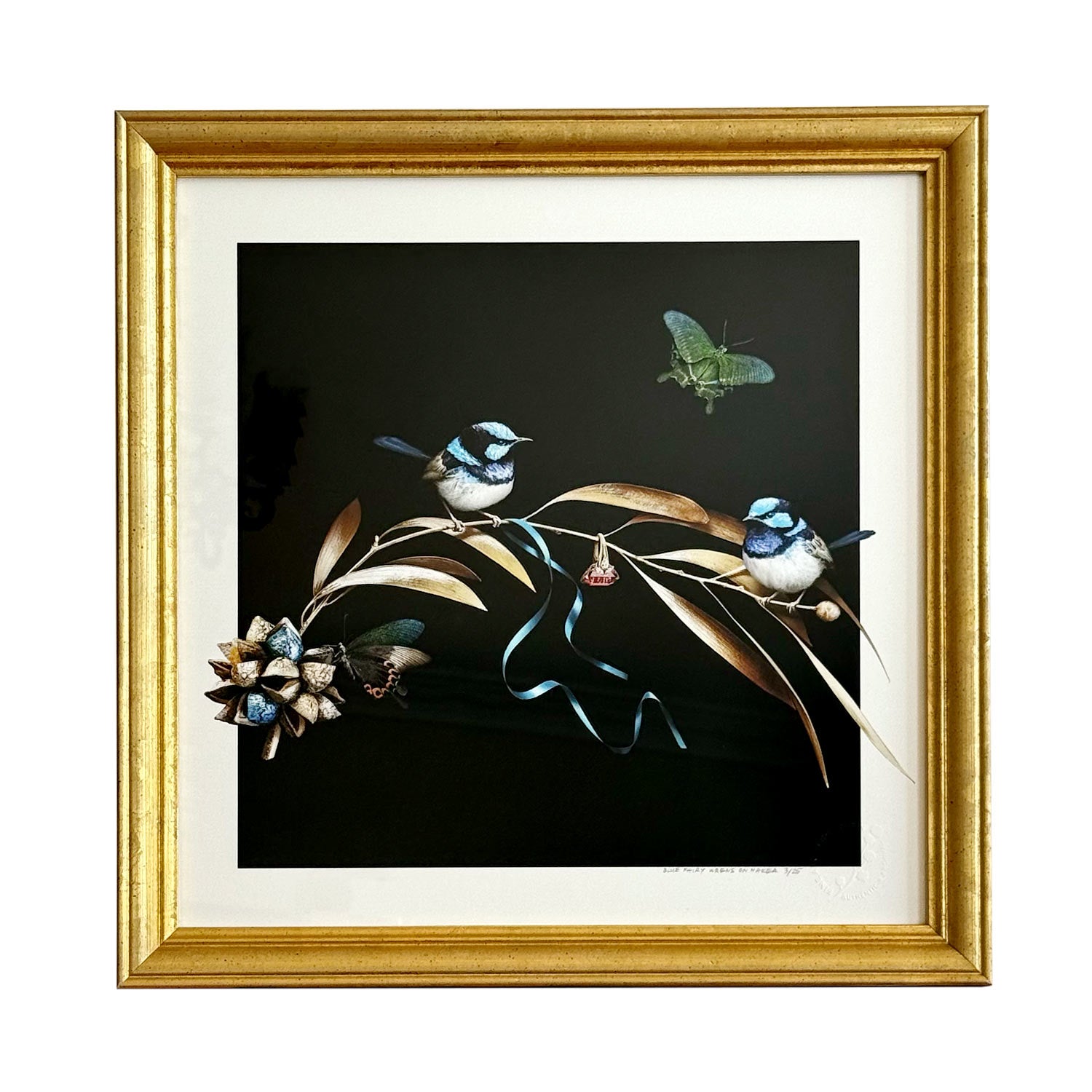 Fairy-wrens On Hakea #3 of 25 | Golden Frame 37 x 37 cm