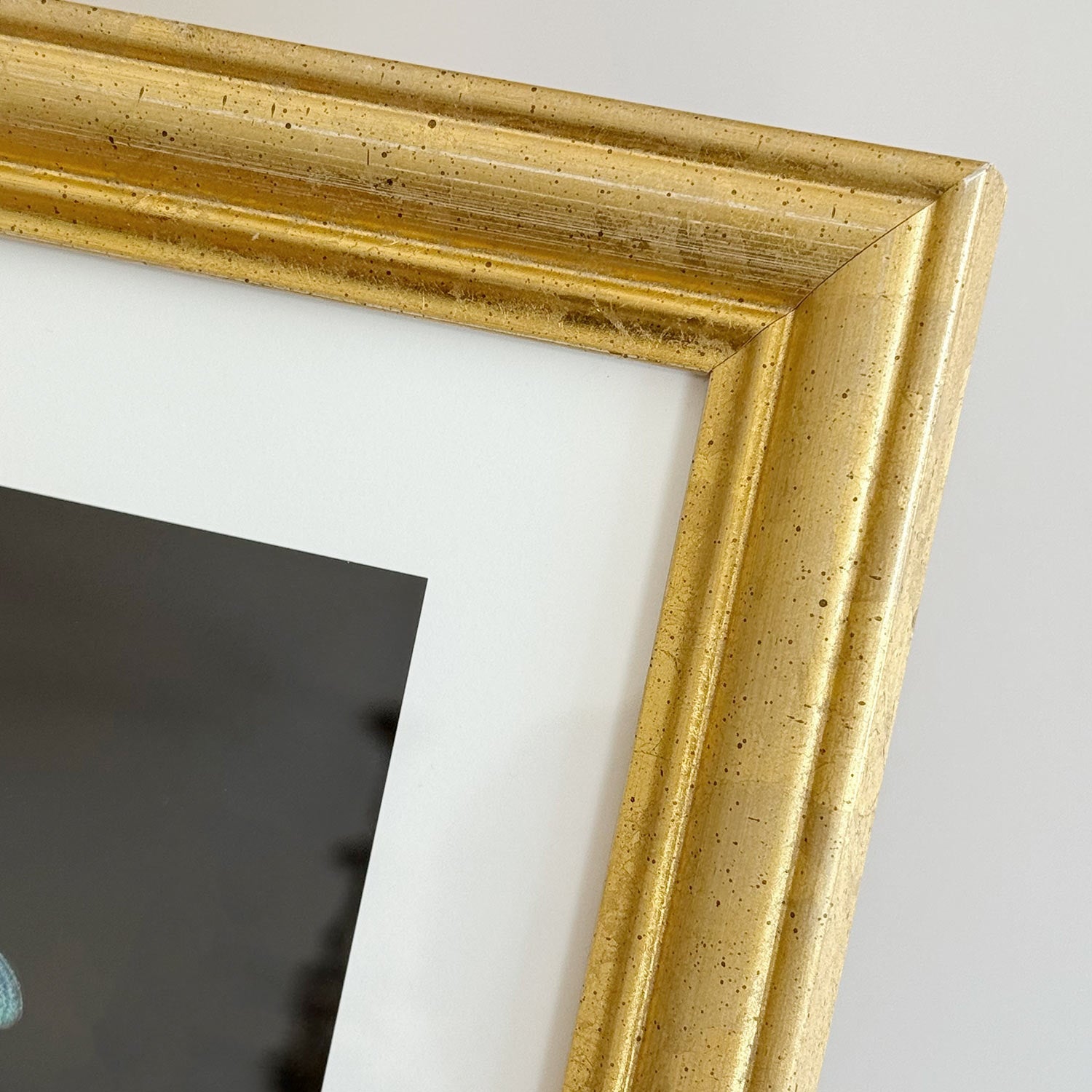 Fairy-wrens On Hakea #3 of 25 | Golden Frame 37 x 37 cm