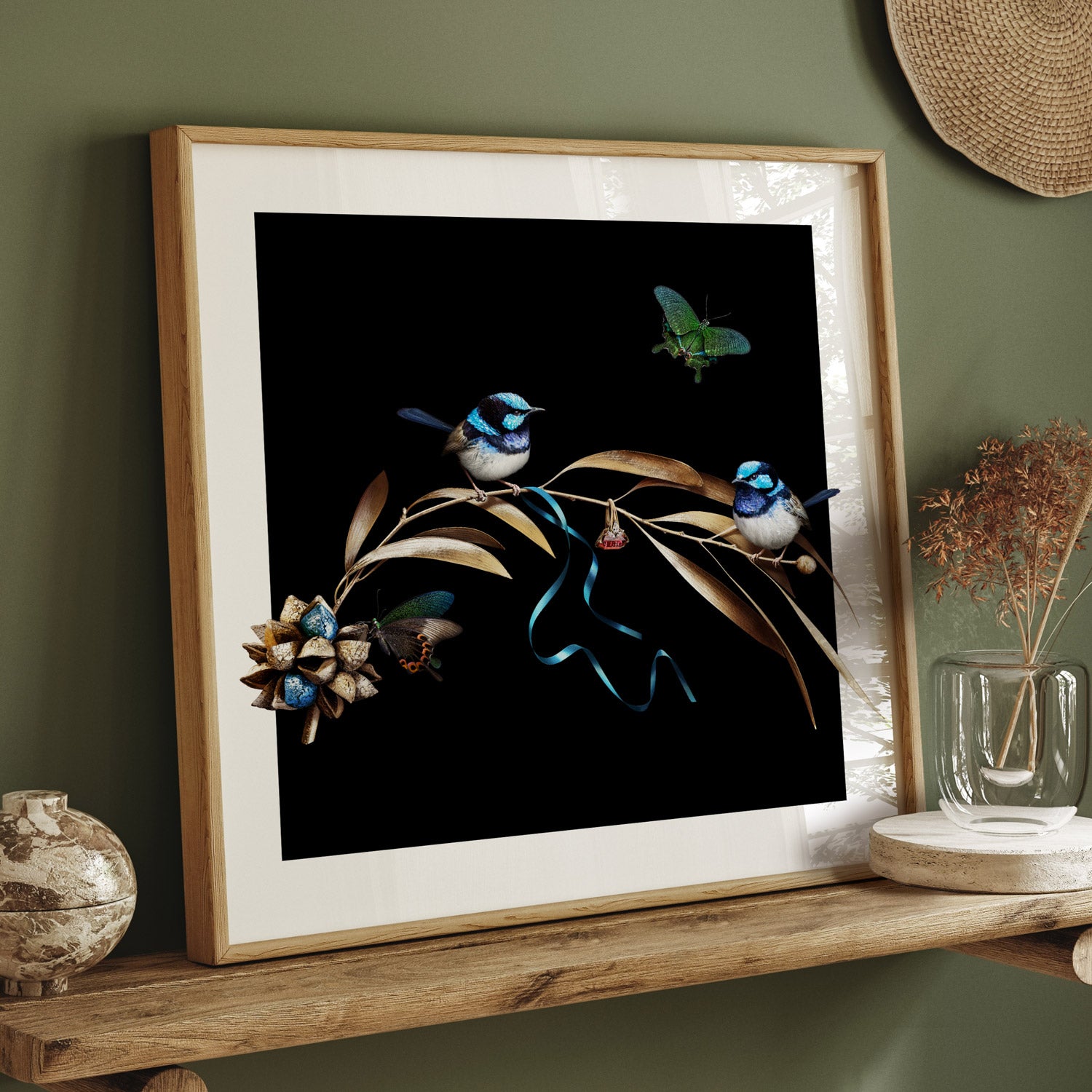 Blue Fairy-Wrens on Hakea Square