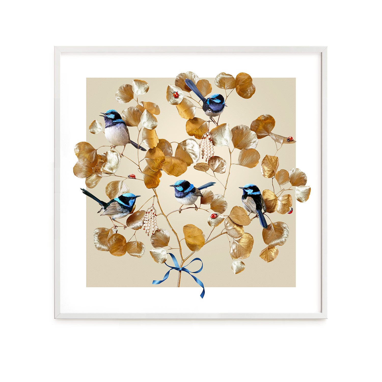 Blue Wrens on Gold #8 of 25 | White Frame