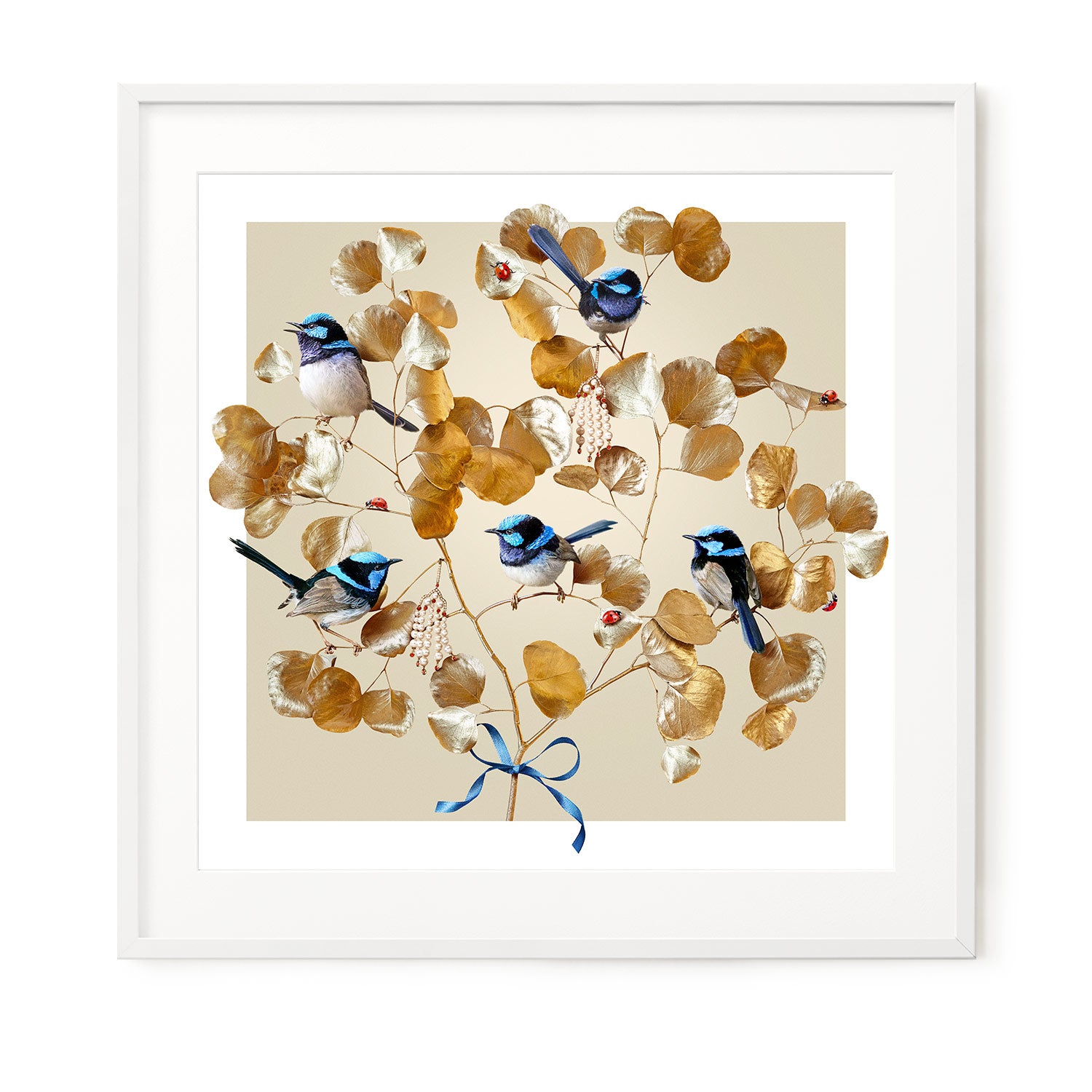 Blue Wrens on Gold