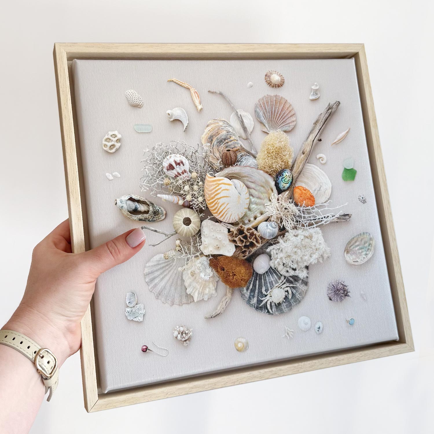 Beach Finds On Light | Canvas 33 x 33 cm