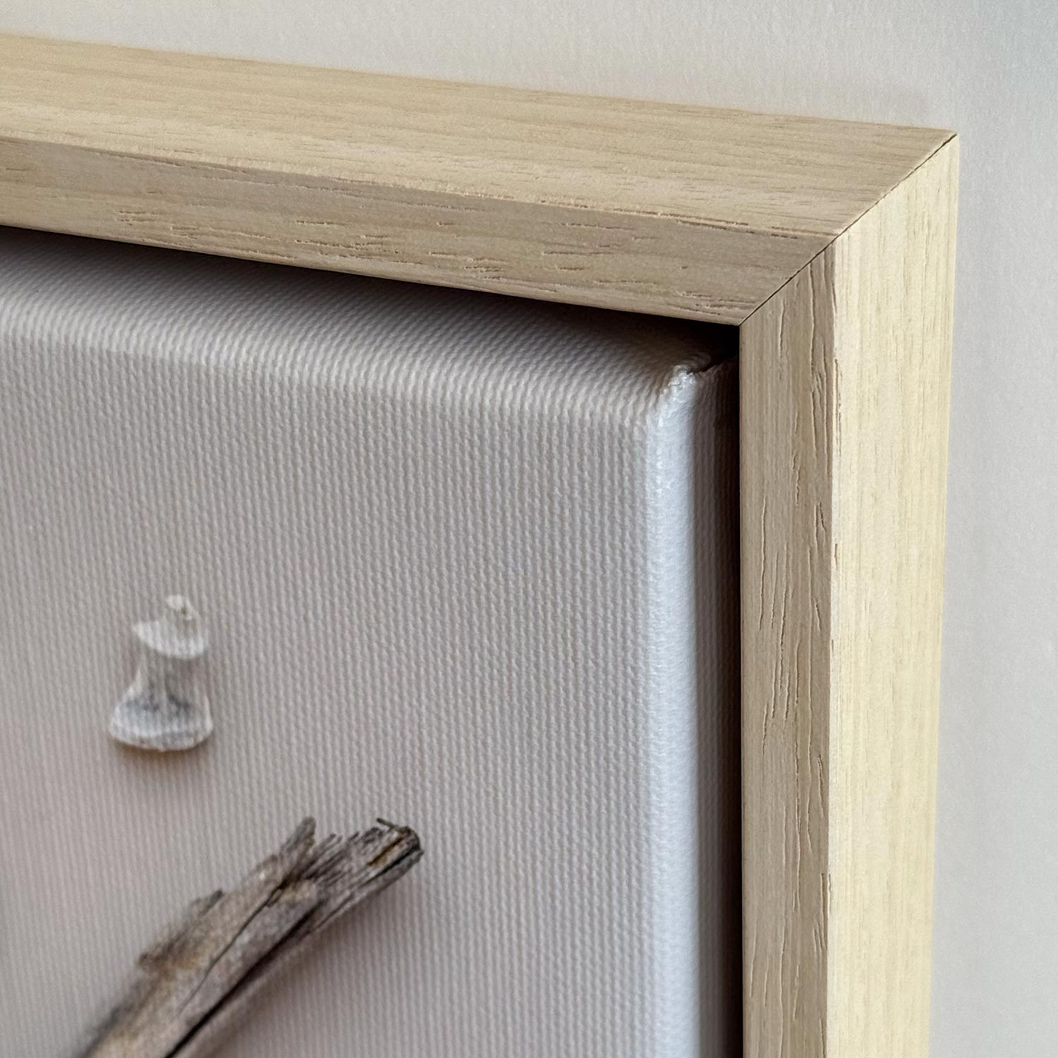 Beach Finds On Light | Canvas 33 x 33 cm